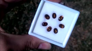 Watch Tourmaline Autumn video