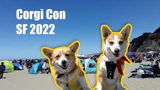 Corgi Con 2022 Corgi Ninja Warrior, Costume Contest, And Corgi Race