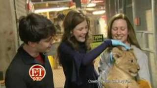 Skandar Keynes And Georgie Henley At The Smithsonian Zoo