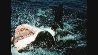 Great White Shark Tribute Video Jaws For Tonywda
