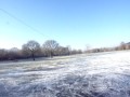Lee Fields Ice Rink
