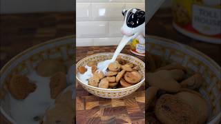 Mini Cookie Cereal