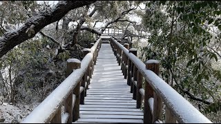 Sorpende nevada y viste de blanco a Chipinque