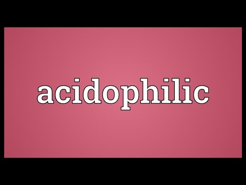 Header of acidophilic