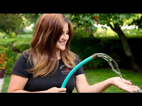 How to Water Your Plants Right