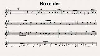G Maj 98 Boxelder 60bmp
