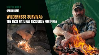 Fatwood For Beginners How To Find It And Use It