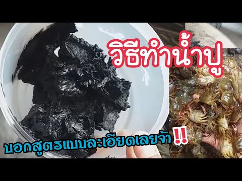 การทำน้ำปู(น้ำปู๋)อาหารภาคเหนือ /พร้อมบอกสูตรอย่างละเอียด ดูคลิปจบทำตามได้เล๊ย!! | jeenuch channel