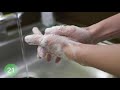 Handwashing Instructions For Protecting Against COVID-19 (Coronavirus)