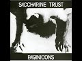 Saccharine Trust - I Have...