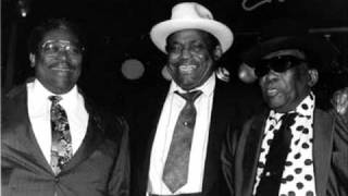 Video After five long years Willie Dixon