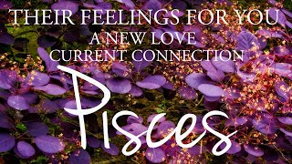 PISCES love tarot ♓️ Someone Who Will Not Give Up On You 💕 You Should Listen To 