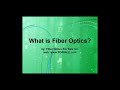 fibers
