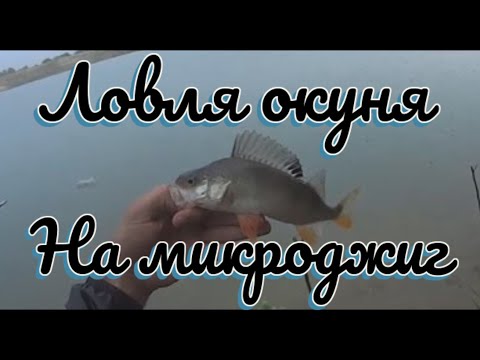 ловля окуня в подмосковье весной ловля окуня в подмосковье весной
