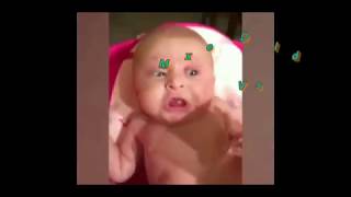 Best baby funny