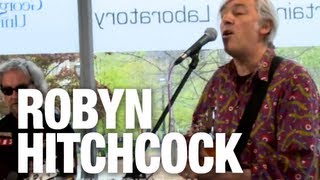 Watch Robyn Hitchcock Saturday Groovers video