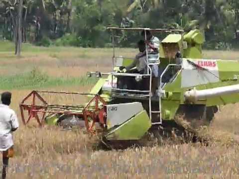 Paddy Harvest Machine