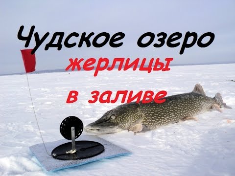 что клюет на чудском что клюет на чудском