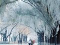 Harbin