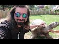 BEHIND THE SCENES AT REPTILE GARDENS! - Dāv Kaufman Vlogs