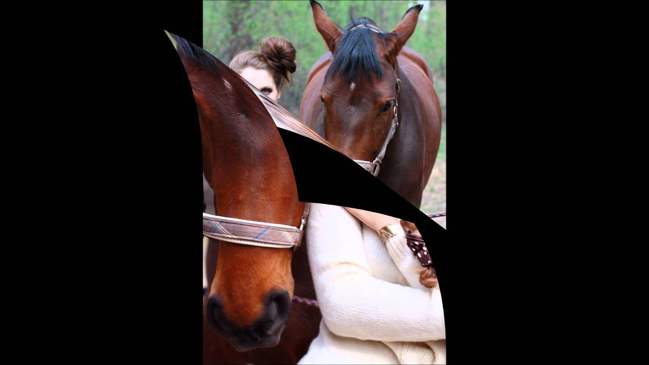 httpmp4bestruzooonline1178skotolozhestvozoofilkiskonemhtml