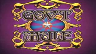 Watch Govt Mule Wandering Child video