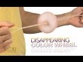 Disappearing Color Wheel - Sick Science! #182