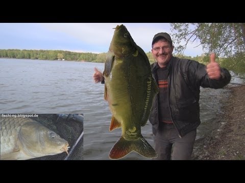 ловля рыбы в германии видео ловля рыбы в германии видео