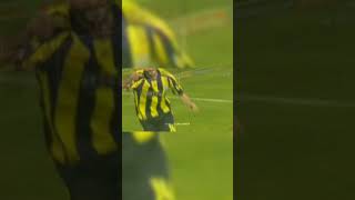 7j45cDnyaNU Video Image