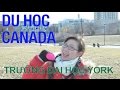 Du học Canada - Tham quan trường Đại học York ở Toronto - A day at York University