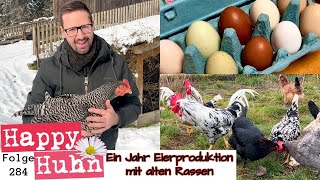Ein Jahr Eierproduktion mit alten Hühnerrassen - Ein Fazit - HAPPY HUHN Folge 283 - Hühner für Eier