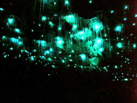 Glowworm Video