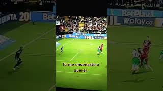 7jwXL7IfjS4 Video Image