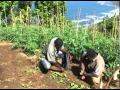 Hadisi ya Ismael - version française complète