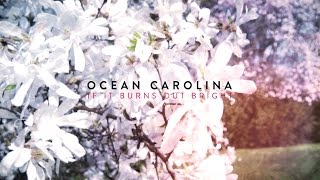 Watch Ocean Carolina If It Burns Out Bright video
