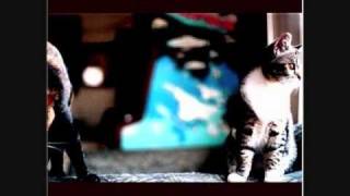 Watch Rob Crow Kill All The Humans video