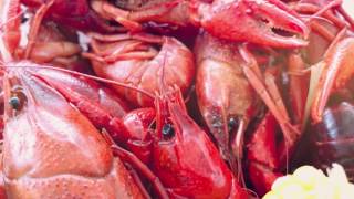GoNOLA Eats: Cajun & Creole Cooking