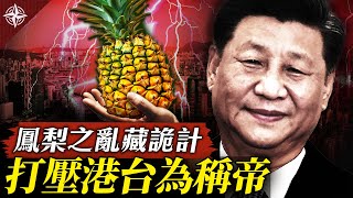 【必看】本頻道重大公告|中國禁台灣鳳梨,暗藏統戰三部曲|港府起訴47民主派人士,為助黨魁「稱霸稱帝」?(2021.3.2)|世界的十字路口 唐浩