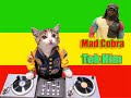 Mad Cobra- tek him