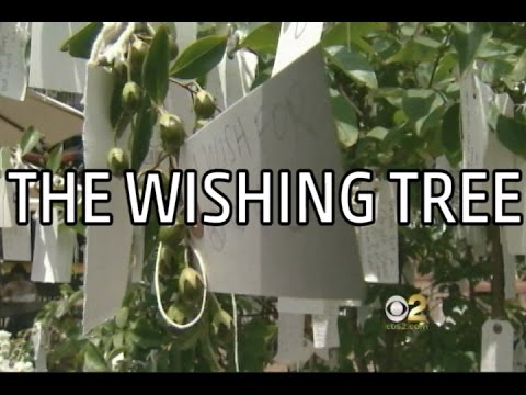 Wishing For Three Wishes Video