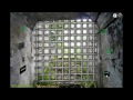 bunker