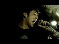 Calico System - They Live