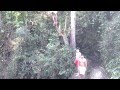 SALTO DEL TIGRE SEXO EN VIVO.