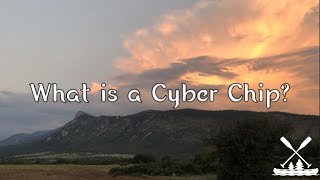 Scouter Jeff Asks A Question - What Is A Cyber Chip?