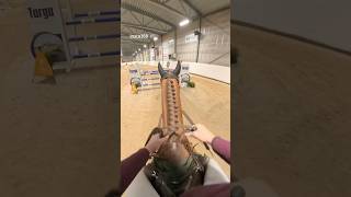 New Pov From Today My Stallion Is A Saint
