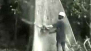 Watch Oi Polloi Thin Green Line video