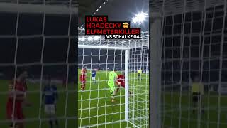 7lFmMLC-g90 Video Image