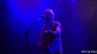 Watch Robyn Hitchcock Acid Bird video