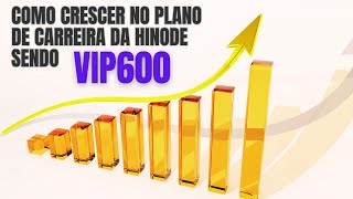 Vip 600 O Que É E Quais Os Benefícios?