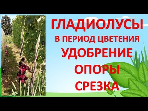 Женская одежда O STIN - Новая коллекция осень-зима 2017 Детские пинетки и носки спицами или крючком